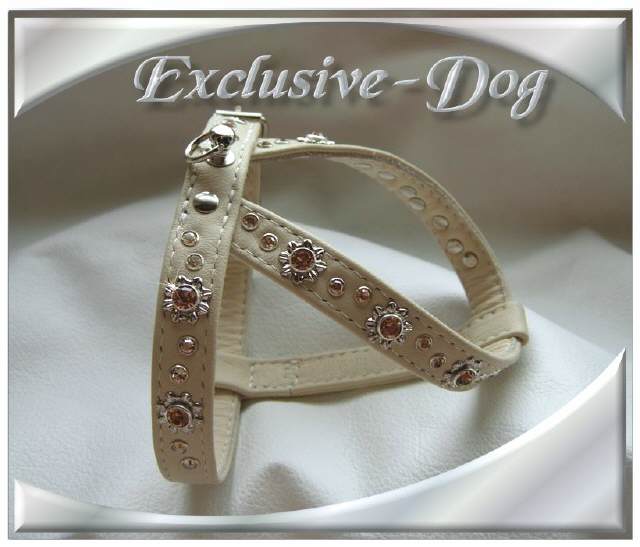 Bild vergr&ouml;&szlig;ern