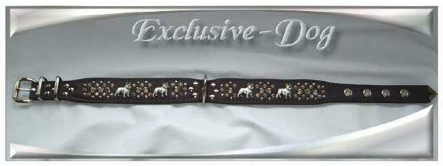 Bild vergr&ouml;&szlig;ern