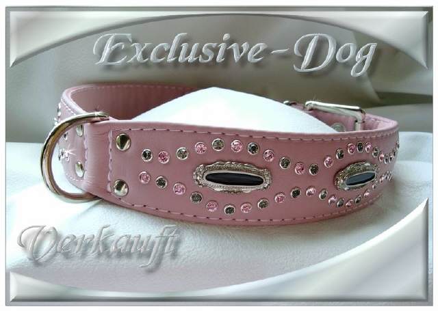 Bild vergr&ouml;&szlig;ern