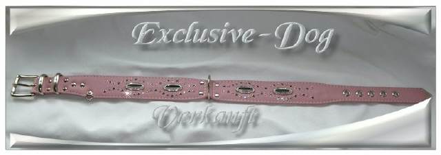 Bild vergr&ouml;&szlig;ern