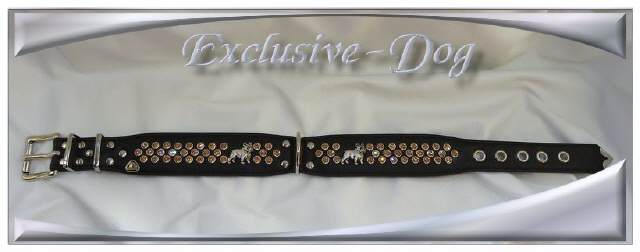 Bild vergr&ouml;&szlig;ern