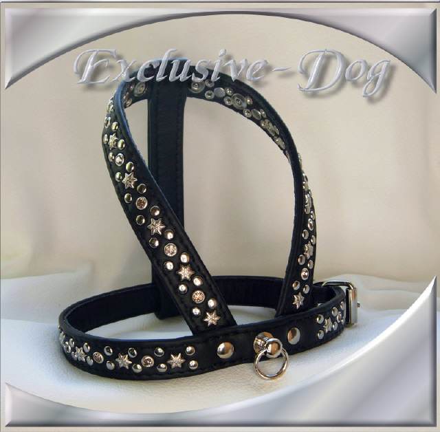 Bild vergr&ouml;&szlig;ern