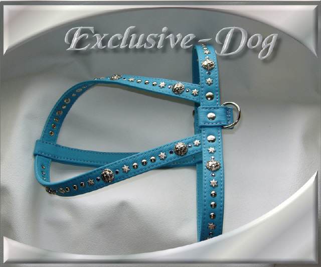 Bild vergr&ouml;&szlig;ern