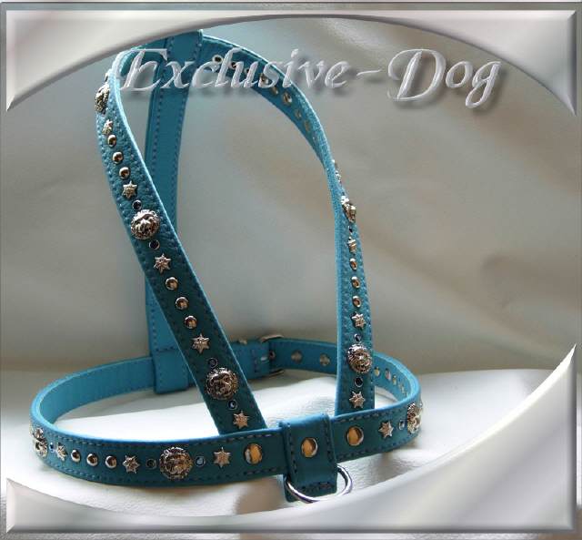 Bild vergr&ouml;&szlig;ern