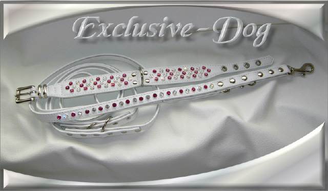 Bild vergr&ouml;&szlig;ern