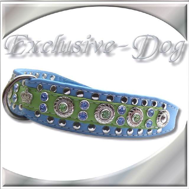 " Hundehalsband WORN "