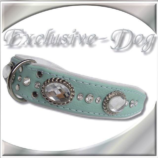 Strasshalsband TYPIC